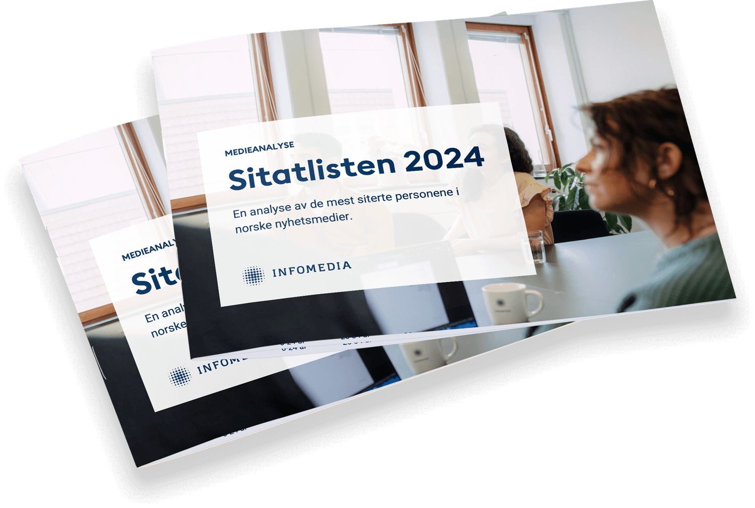 sitatanalyse 2024 mockup 1